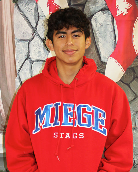 Hoodie - Collegiate Red
